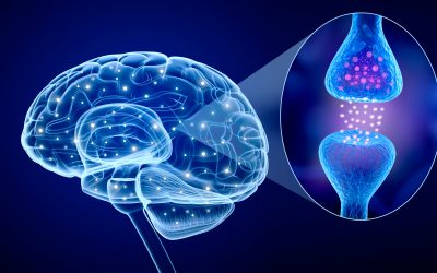 Un neurotransmisor podría explicar por qué se produce la migraña