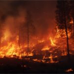 El humo de los incendios forestales se asocia con un aumento de las visitas a urgencias por migraña
